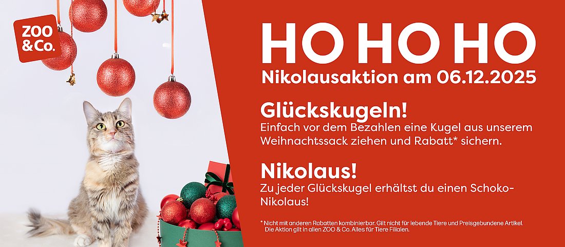 Slider zur Nikolausaktion von Alles für Tiere