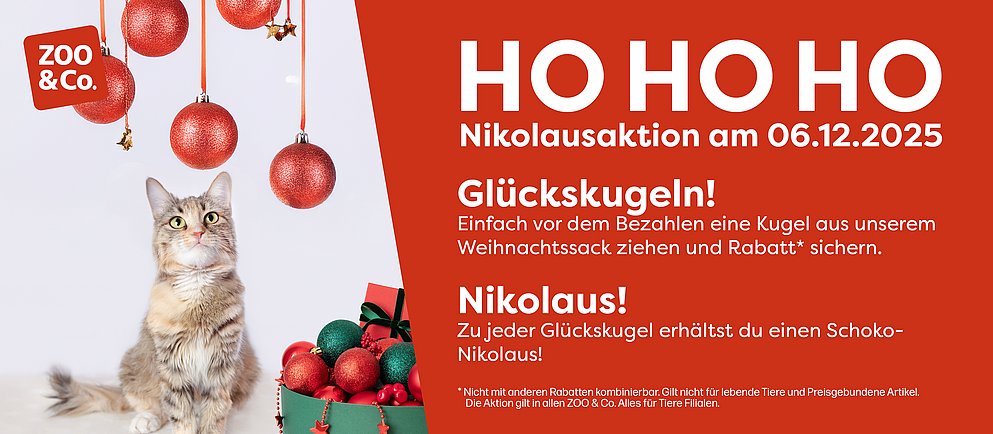 Slider zur Nikolausaktion von Alles für Tiere