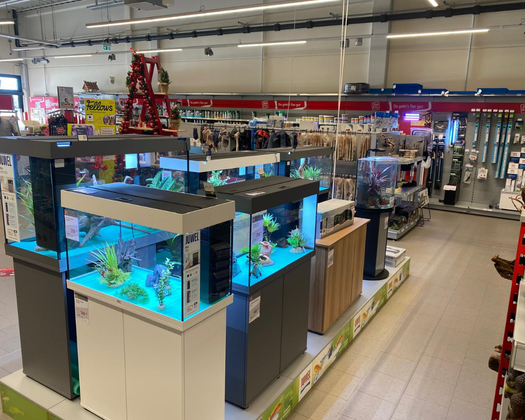 ZC Sangerhausen Aquaristik Abteilung