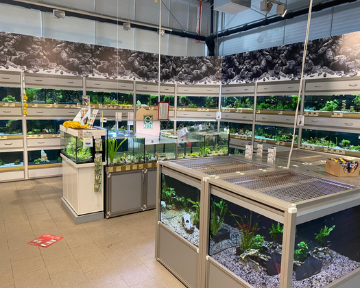 ZC Sangerhausen Aquaristik Abteilung