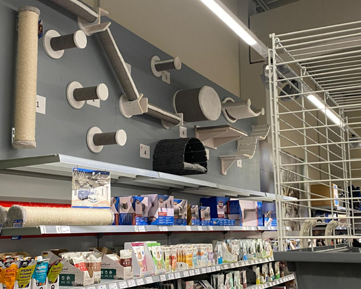 ZC Sangerhausen Katze Abteilung